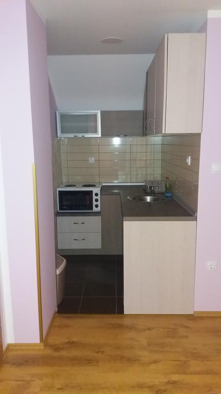 Apartmani Aleksijevic Златибор Екстериор снимка
