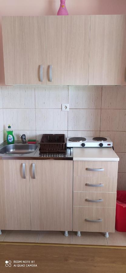 Apartmani Aleksijevic Златибор Екстериор снимка
