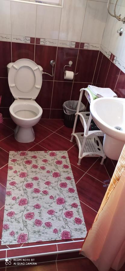 Apartmani Aleksijevic Златибор Екстериор снимка