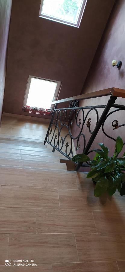 Apartmani Aleksijevic Златибор Екстериор снимка